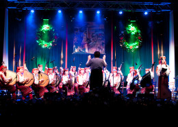Folk Bandurist Band "Zorianyca" from I.Franko National University Lviv, Ukraine